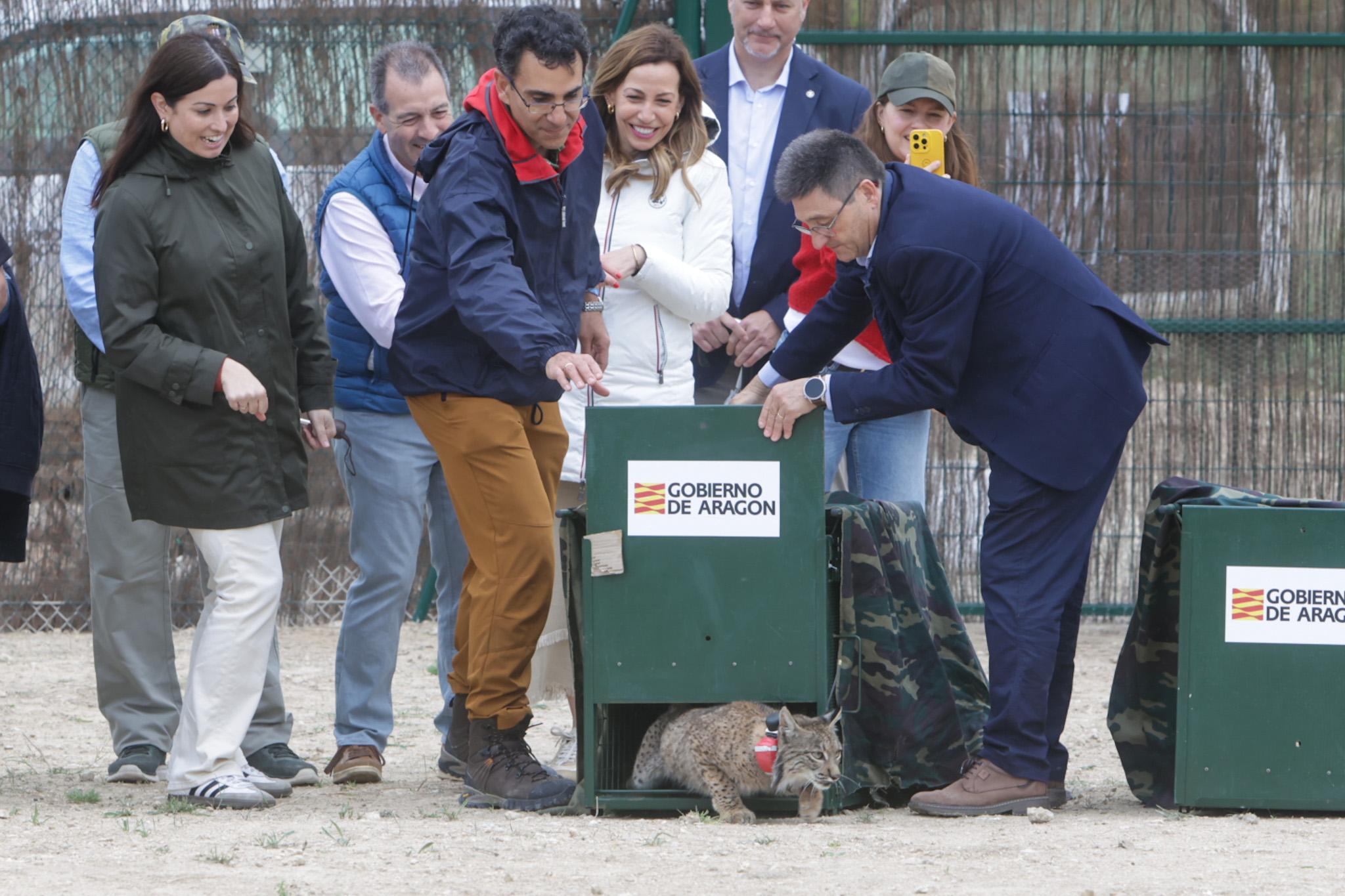 Pulsa para ver la imagen en grande