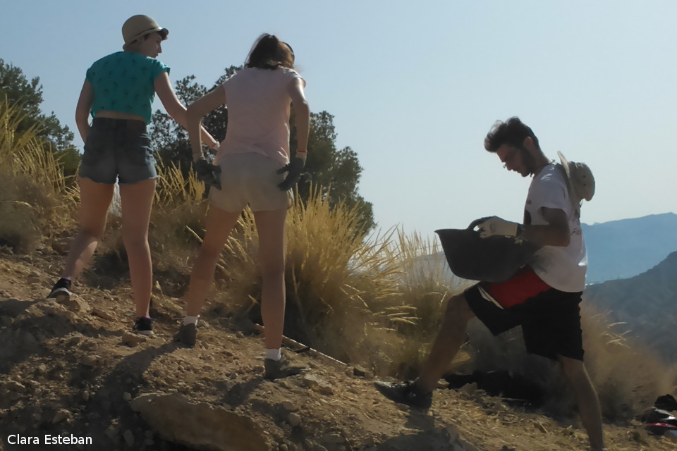 Pulsa para ver la imagen en grande