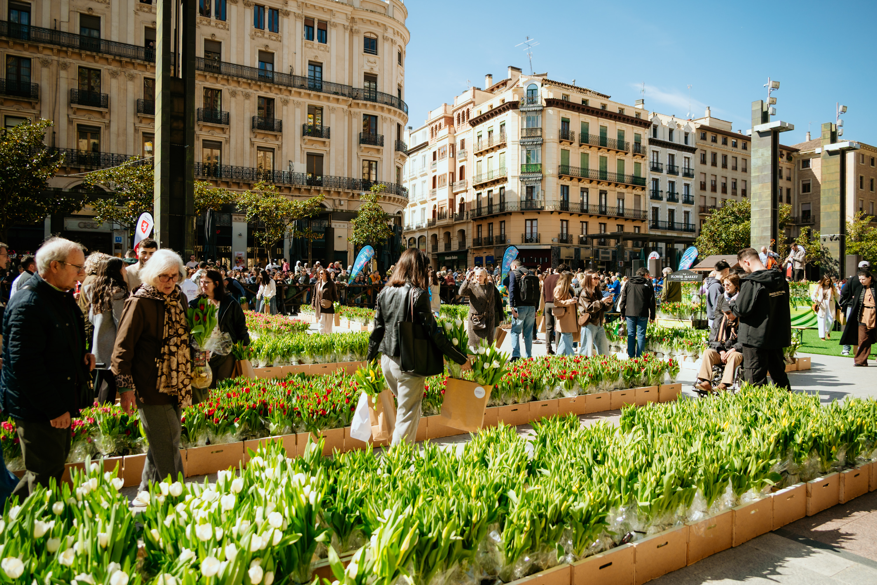 Pulsa para ver la imagen en grande