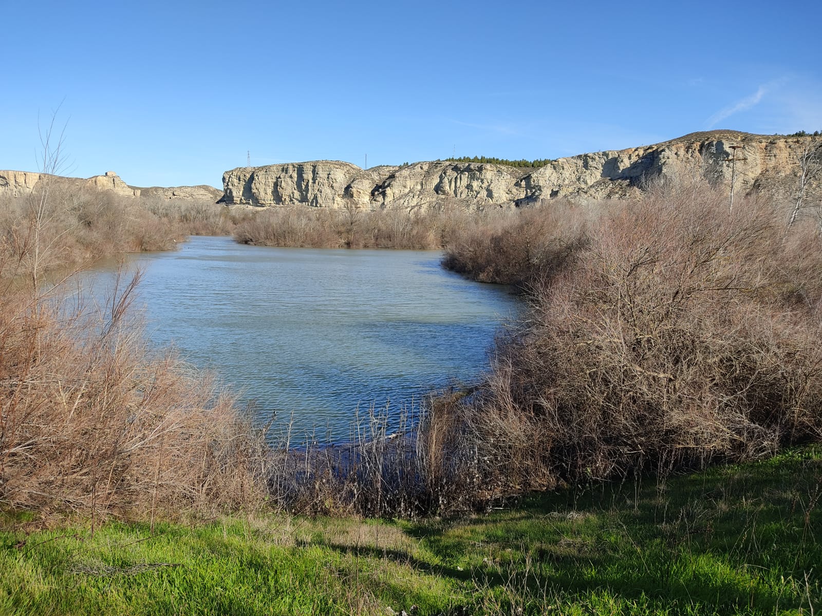 Pulsa para ver la imagen en grande