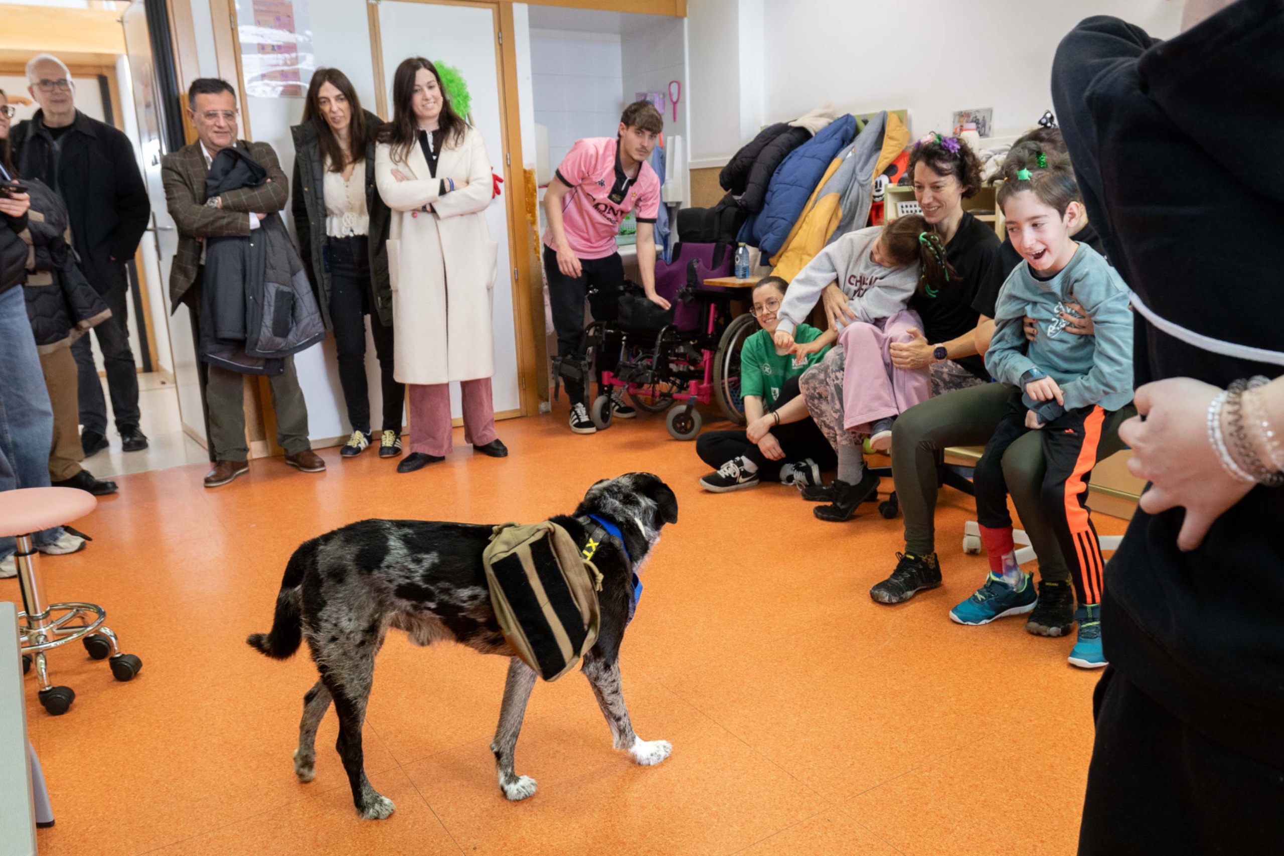 Pulsa para ver la imagen en grande