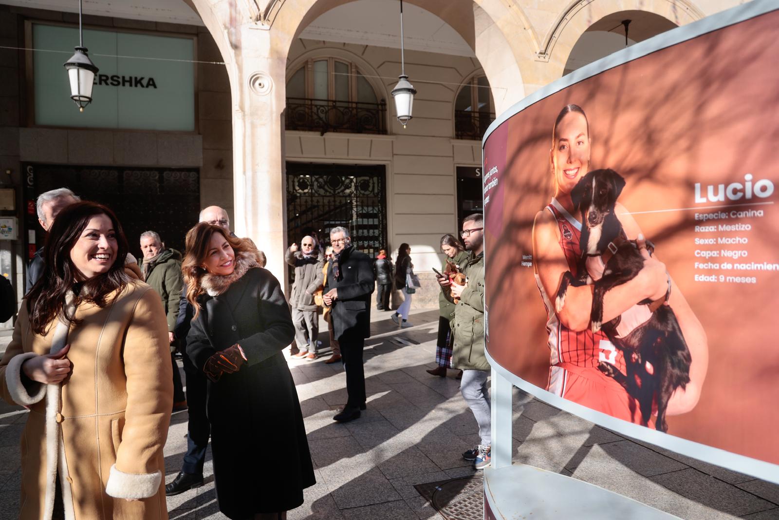 Pulsa para ver la imagen en grande