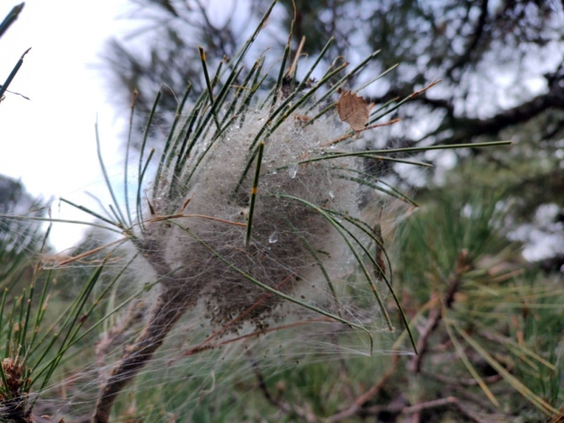 Pulsa para ver la imagen en grande