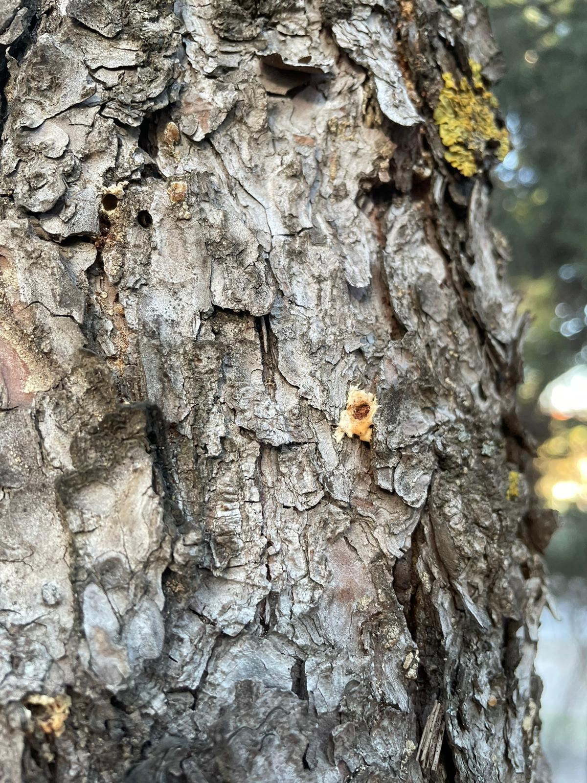 Pulsa para ver la imagen en grande