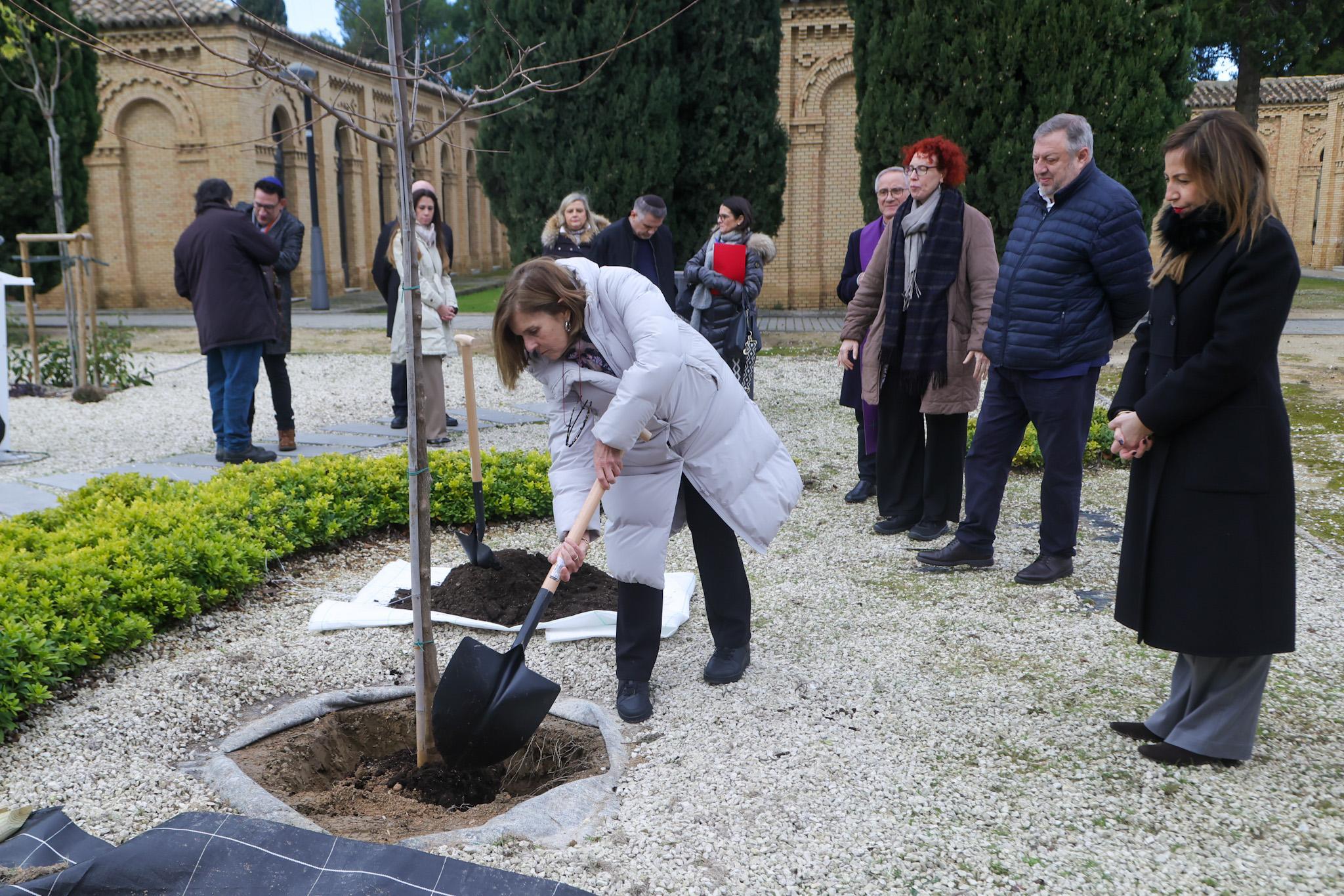 Pulsa para ver la imagen en grande