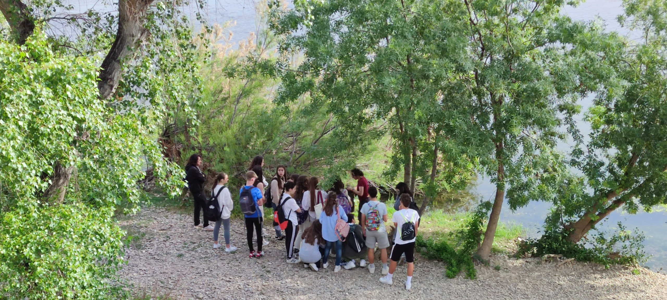 Pulsa para ver la imagen en grande