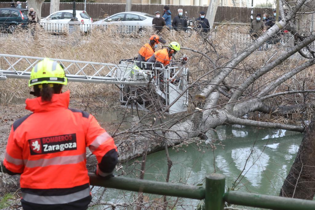 Pulsa para ver la imagen en grande