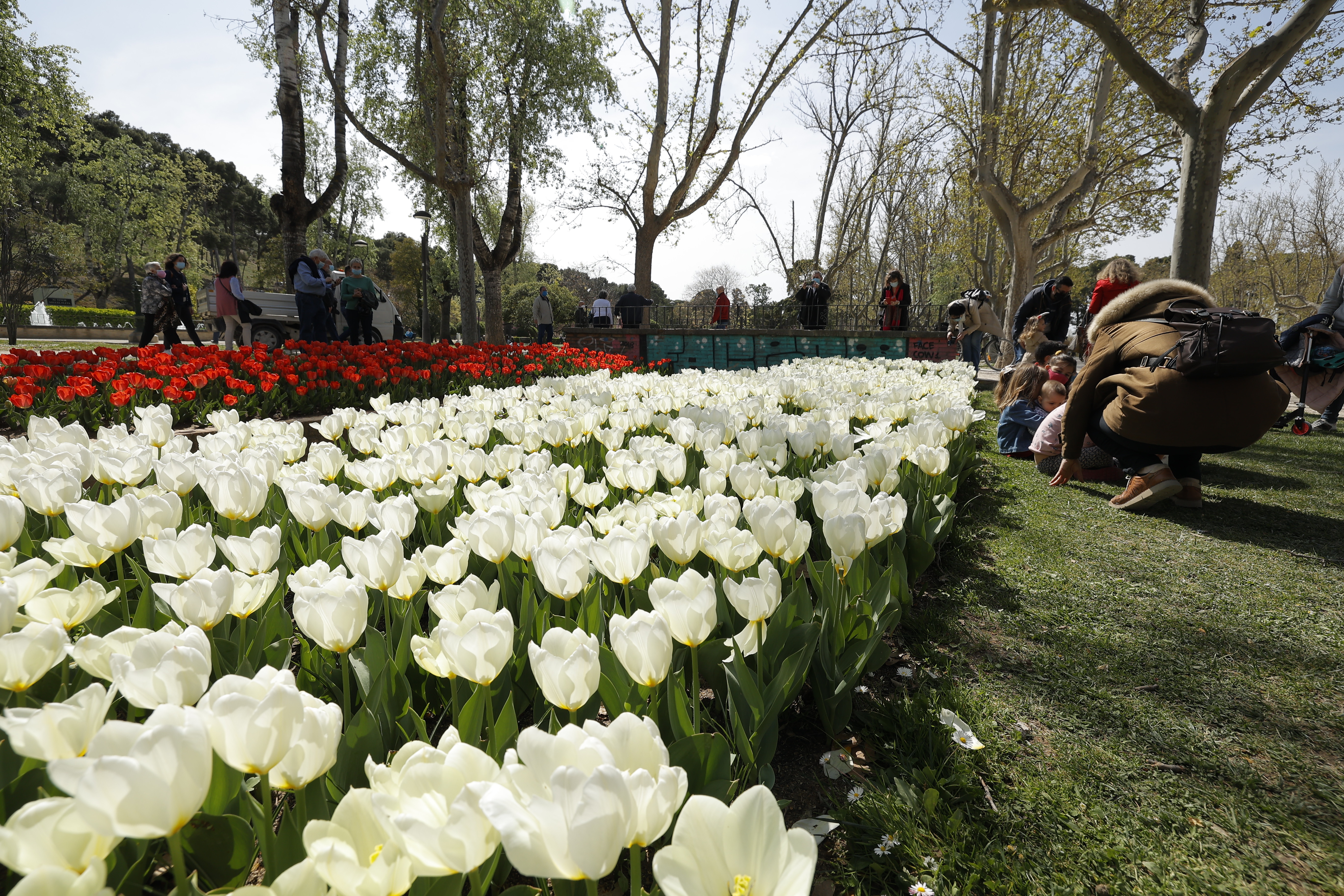 Pulsa para ver la imagen en grande