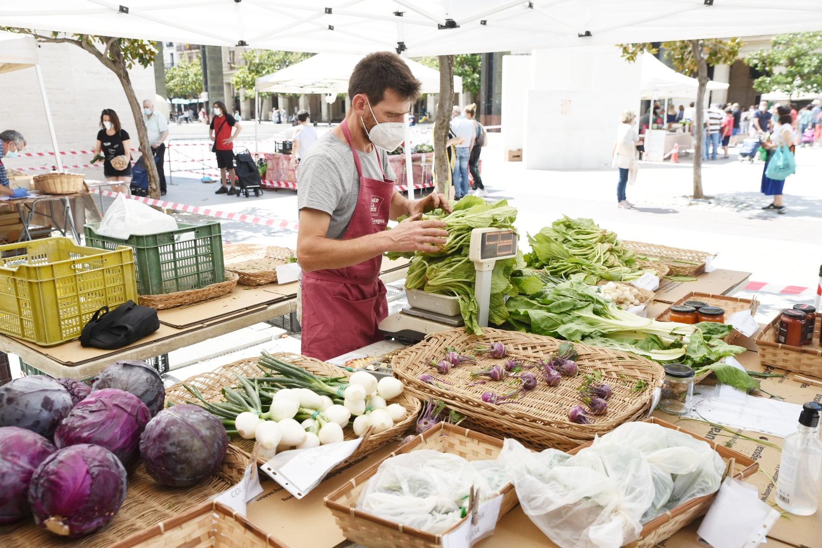 Pulsa para ver la imagen en grande