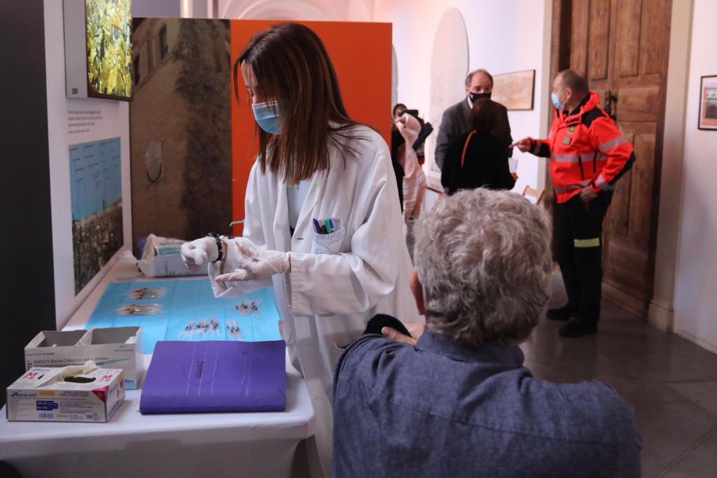 Pulsa para ver la imagen en grande