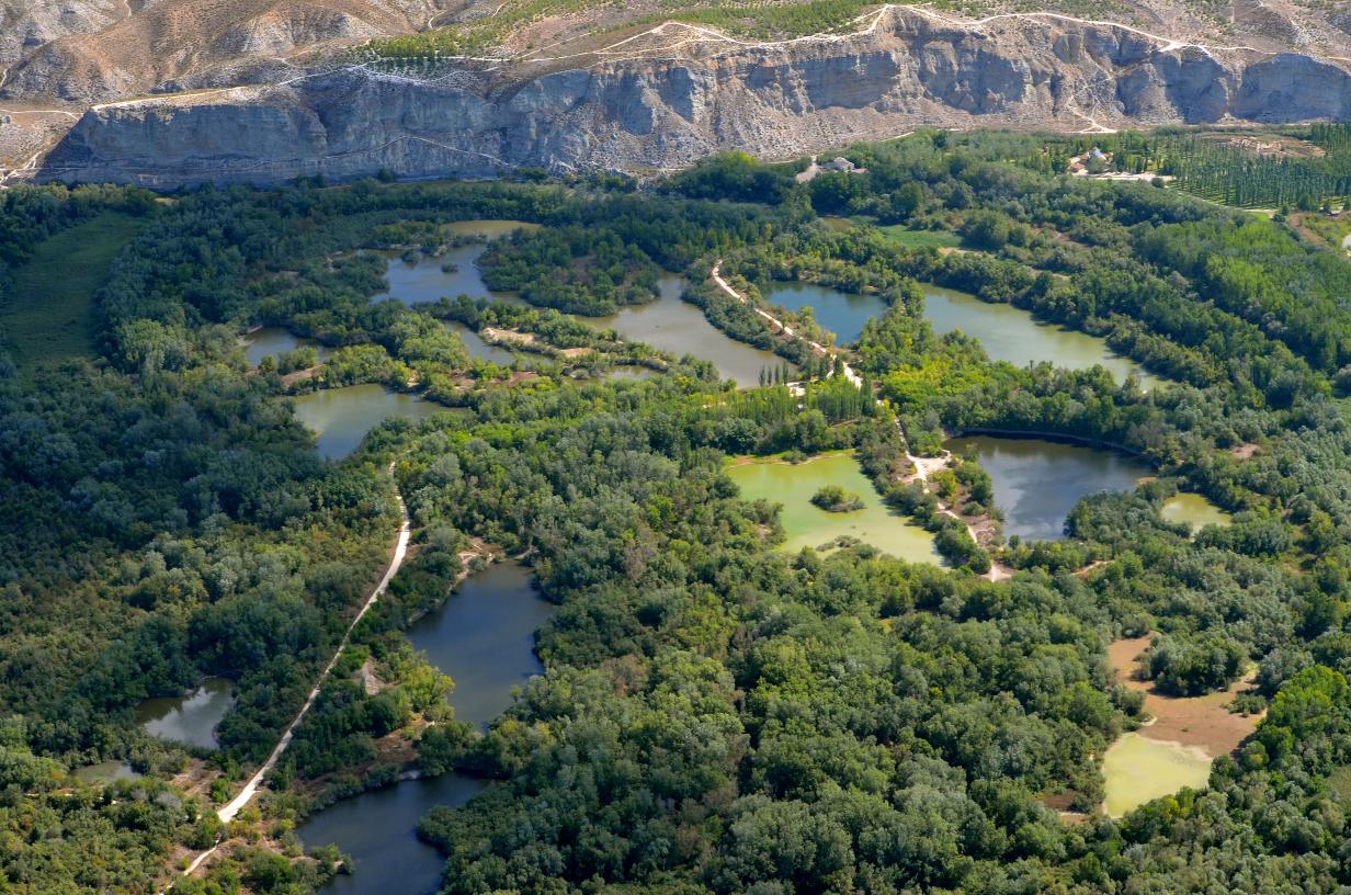 Pulsa para ver la imagen en grande