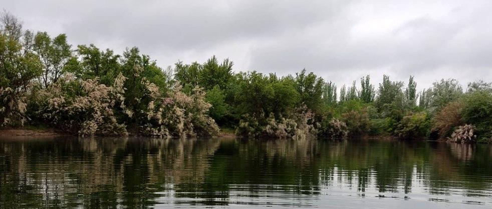 Pulsa para ver la imagen en grande