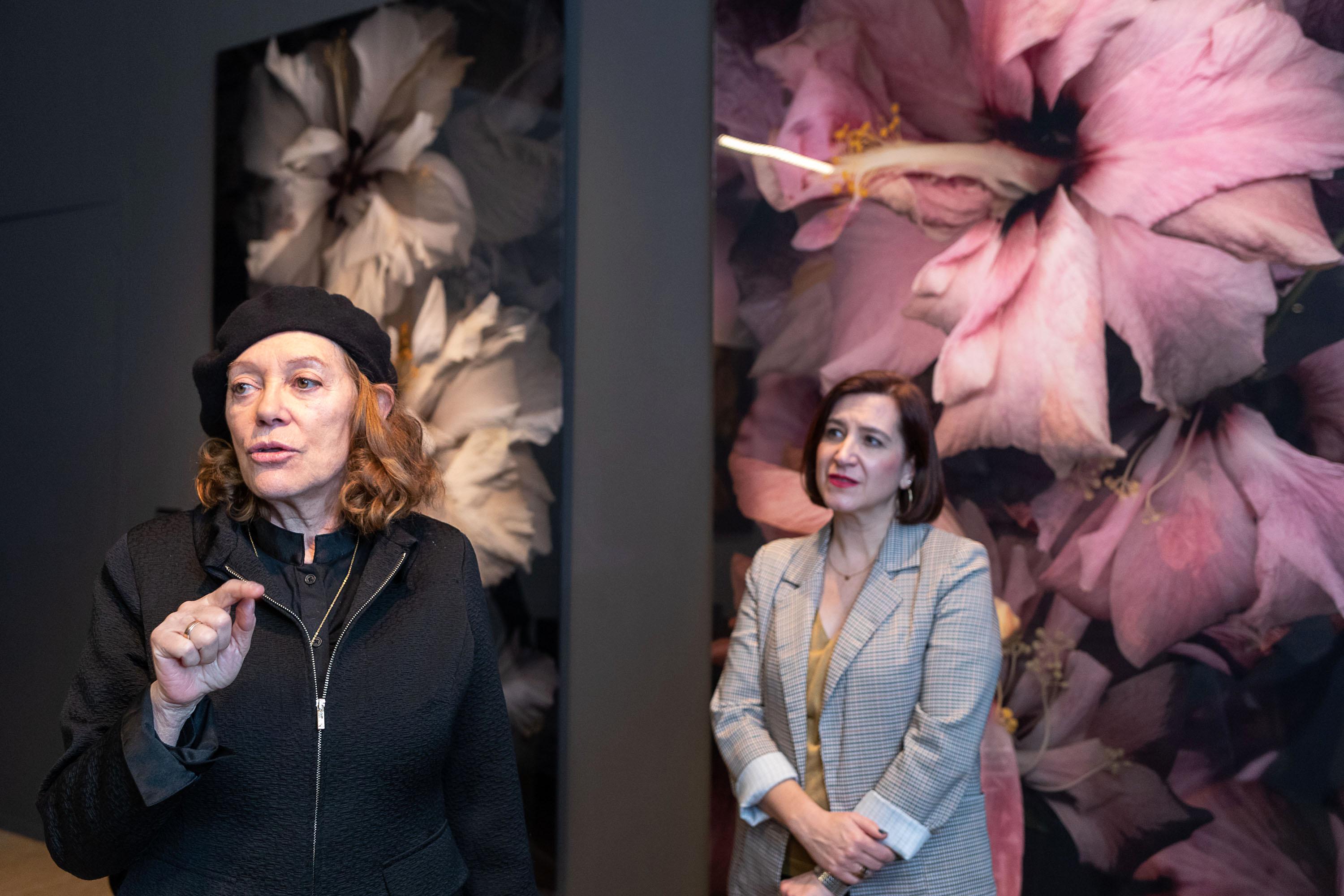 Pulsa para ver la imagen en grande