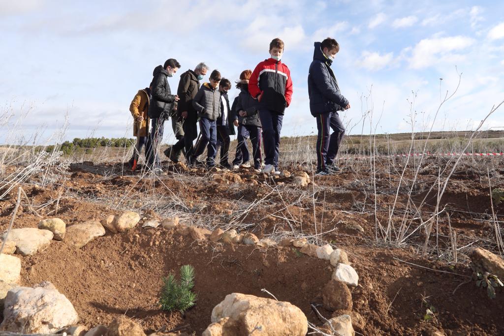 Pulsa para ver la imagen en grande