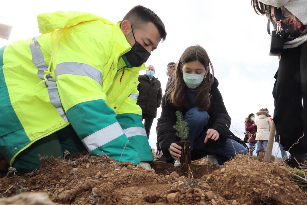 Pulsa para ver la imagen en grande