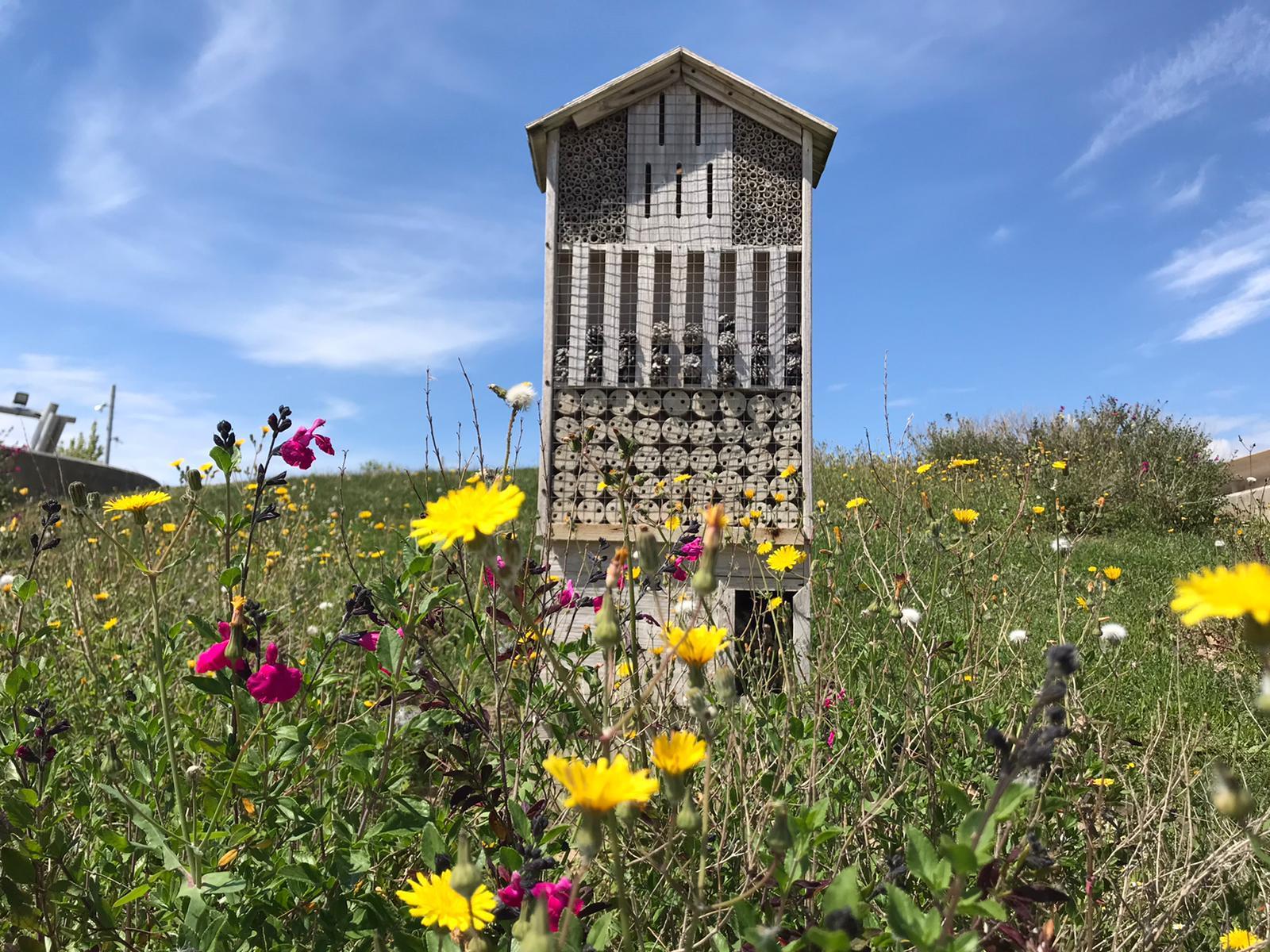 Pulsa para ver la imagen en grande