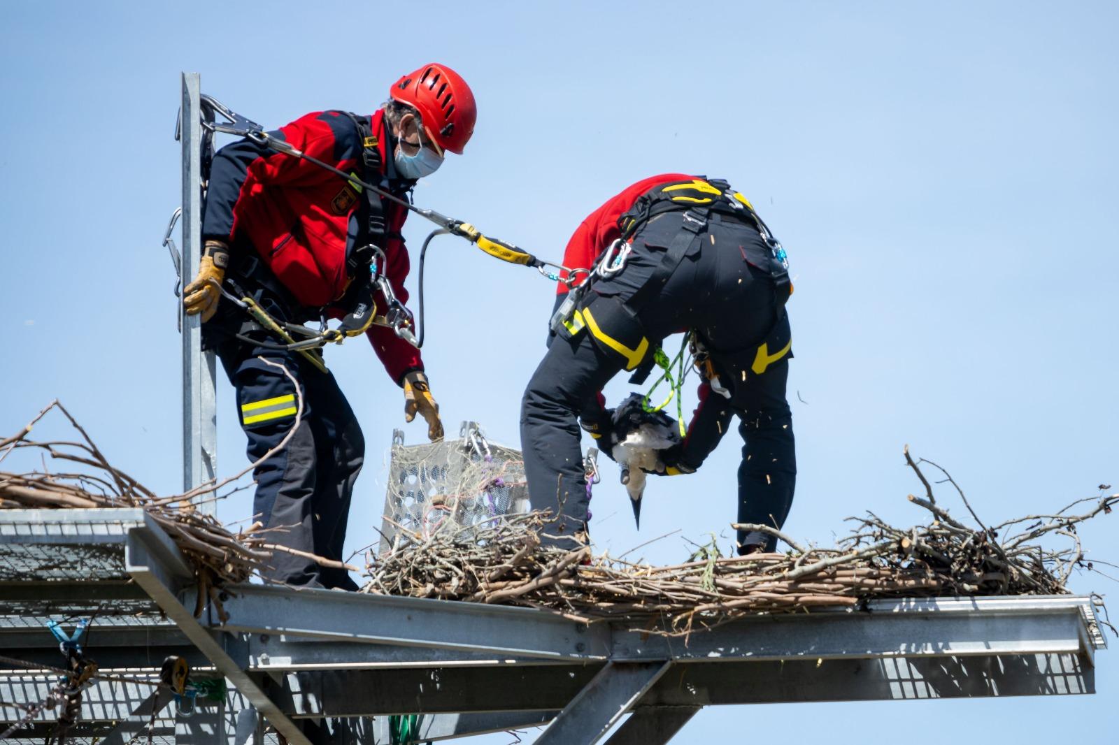 Pulsa para ver la imagen en grande