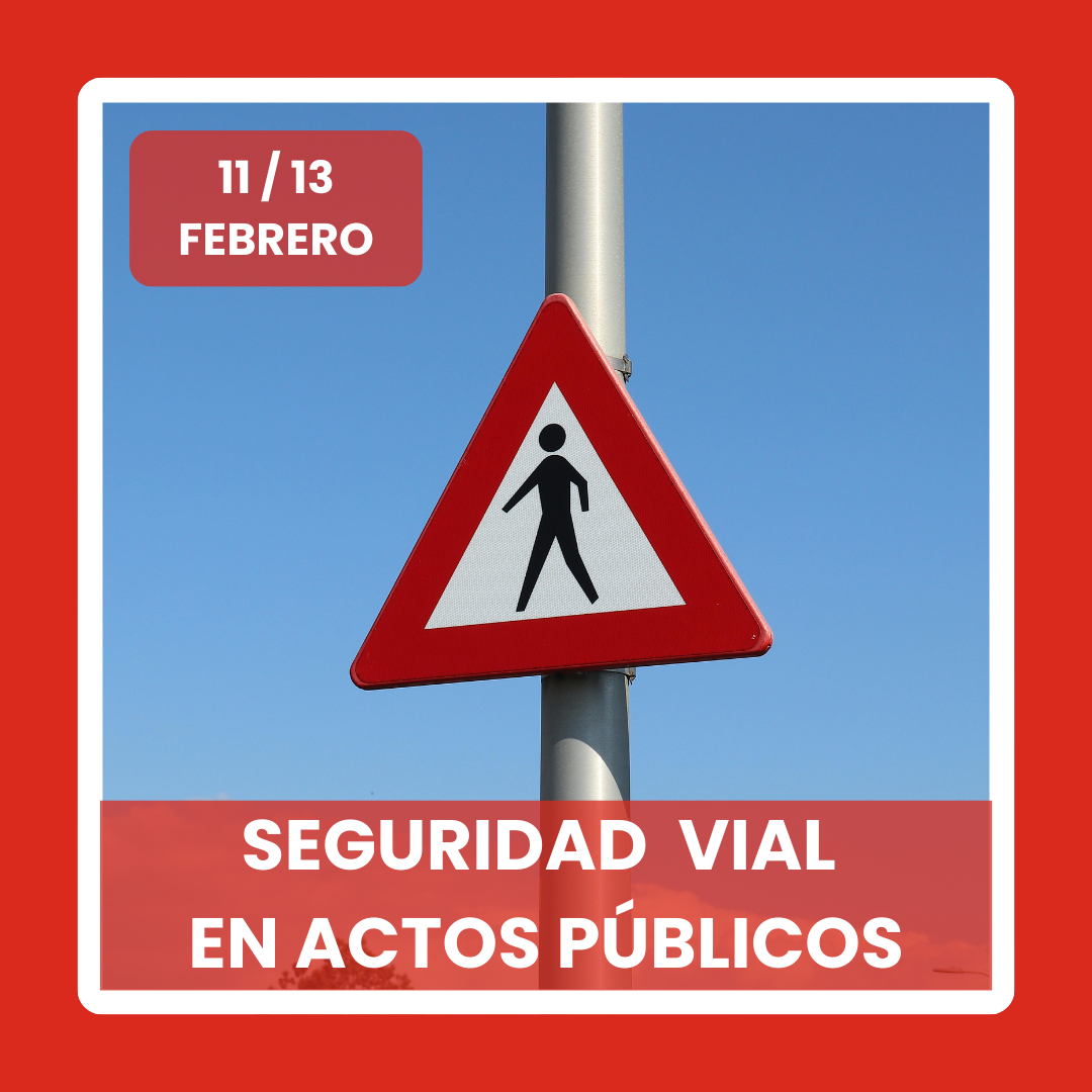 Seguridad Vial