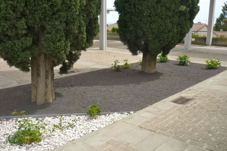 Galería de imágenes: 3 de 3