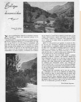 ELISA SANCHO IZQUIERDO