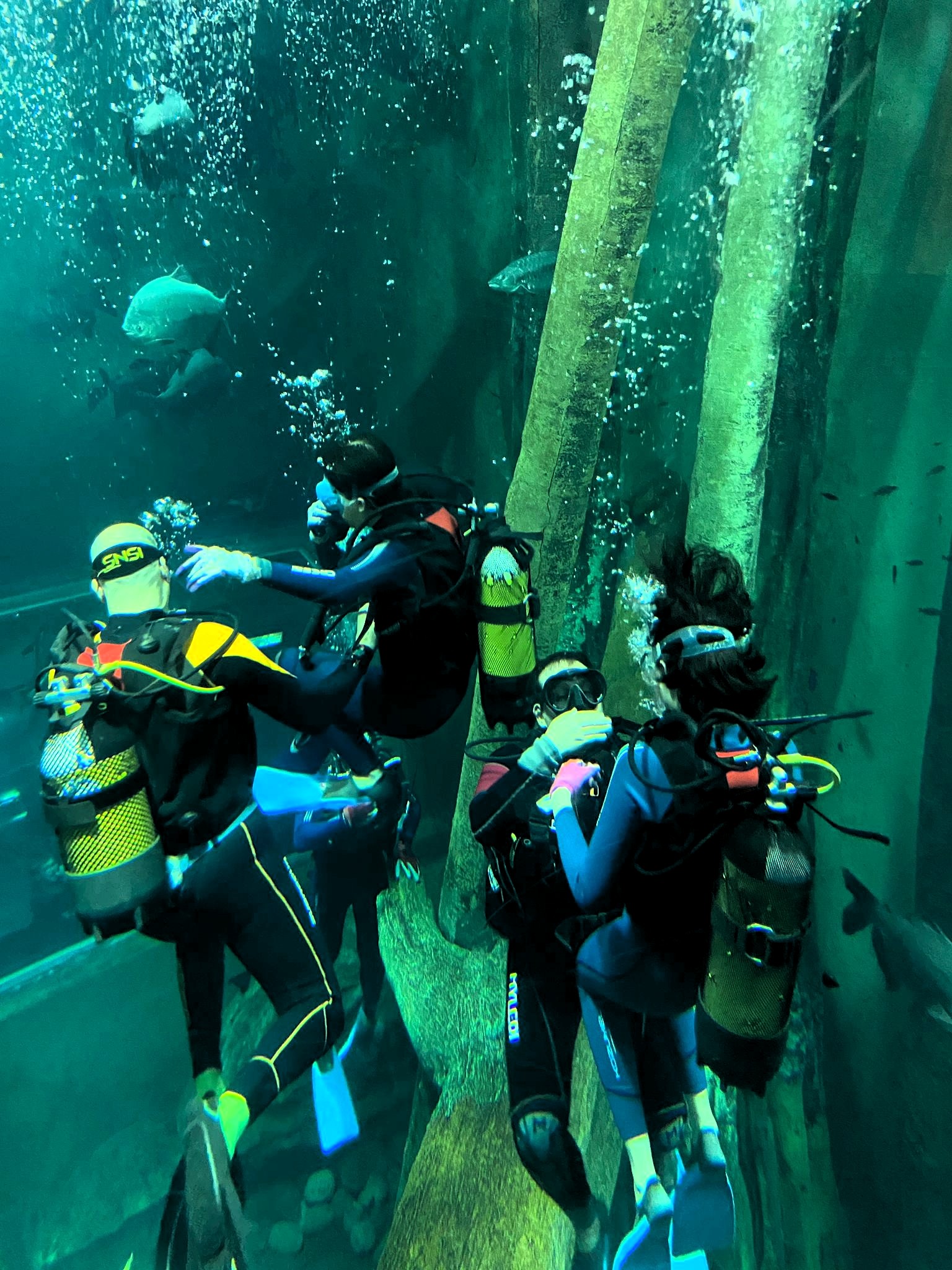 Galería de imágenes: 7 de 22